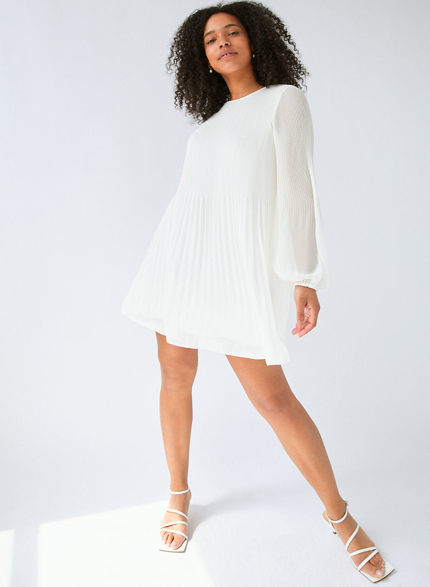 Aritzia Wilfred Daydreamer pleated Mini ...